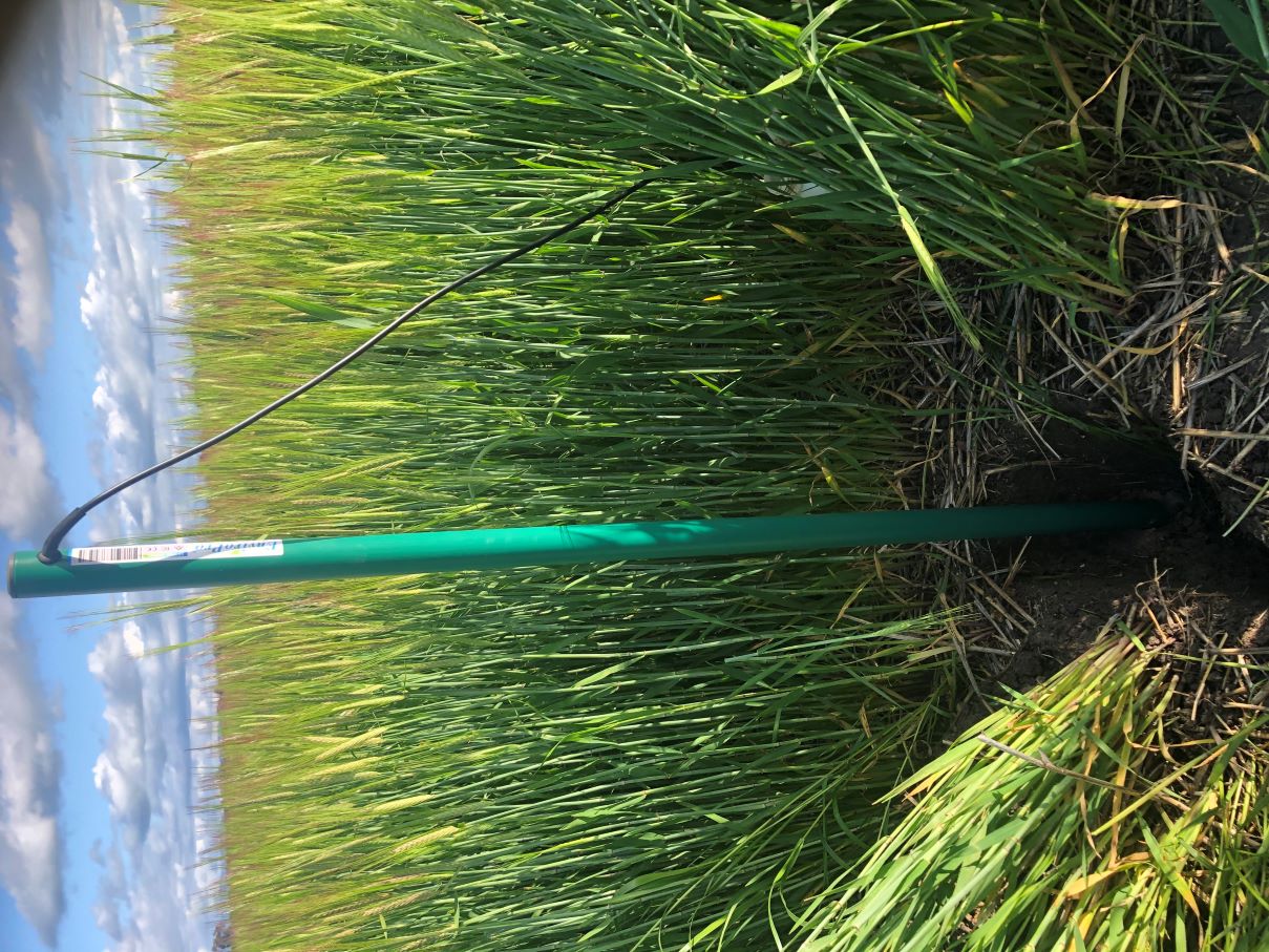 EnviroPro 120cm 12 sensor probe for cropping